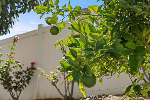 4150 San Ramon Drive, Corona CA: https://media.crmls.org/medias/0e713005-84bc-4c32-ab49-32a93a235b72.jpg