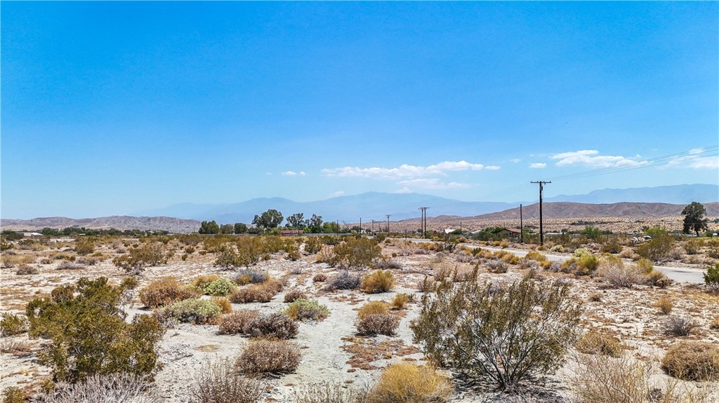 MLS #JT24133098 image #4