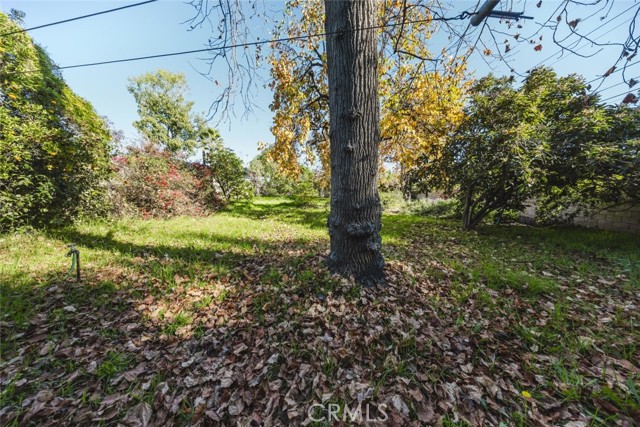 1324 S 1st Avenue, Arcadia CA: https://media.crmls.org/medias/0e81beb3-957f-4e13-90b9-67b84fc6c2f1.jpg