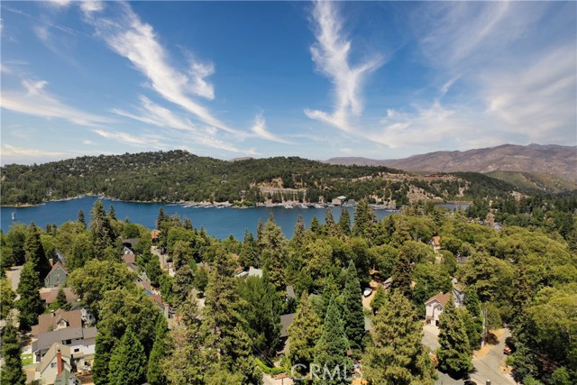 Detail Gallery Image 50 of 51 For 371 Maple Dr, Lake Arrowhead,  CA 92352 - 4 Beds | 3 Baths