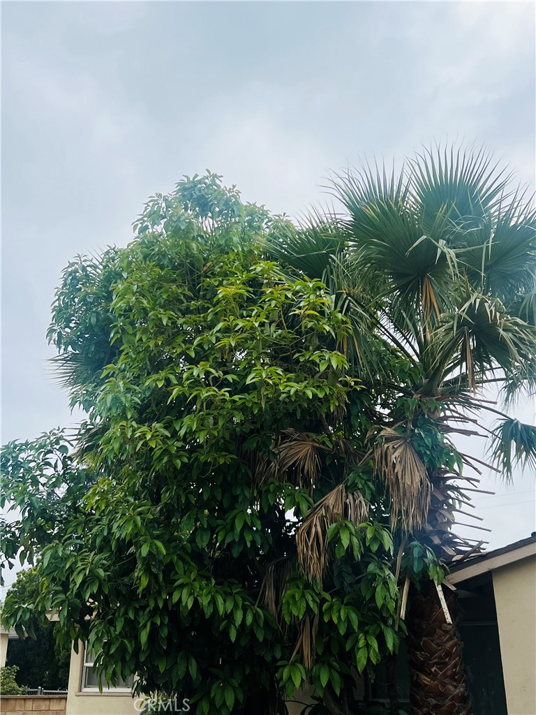 https://media.crmls.org/medias/0e91ad52-17a6-489b-82ac-1519e1abb125.jpg?preset=X-Large