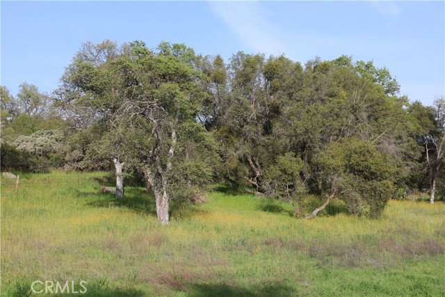 Detail Gallery Image 4 of 32 For 0 Douglas Rd, Coarsegold,  CA 93614 - – Beds | – Baths