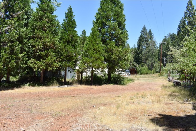 Detail Gallery Image 15 of 43 For 11605 La Porte Rd, Clipper Mills,  CA 95925 - 3 Beds | 2/1 Baths