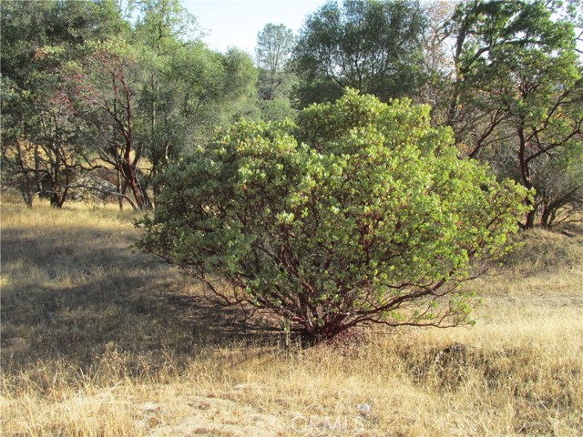 Detail Gallery Image 27 of 54 For 2 Ac Old Oaks Ct, North Fork,  CA 93643 - – Beds | – Baths