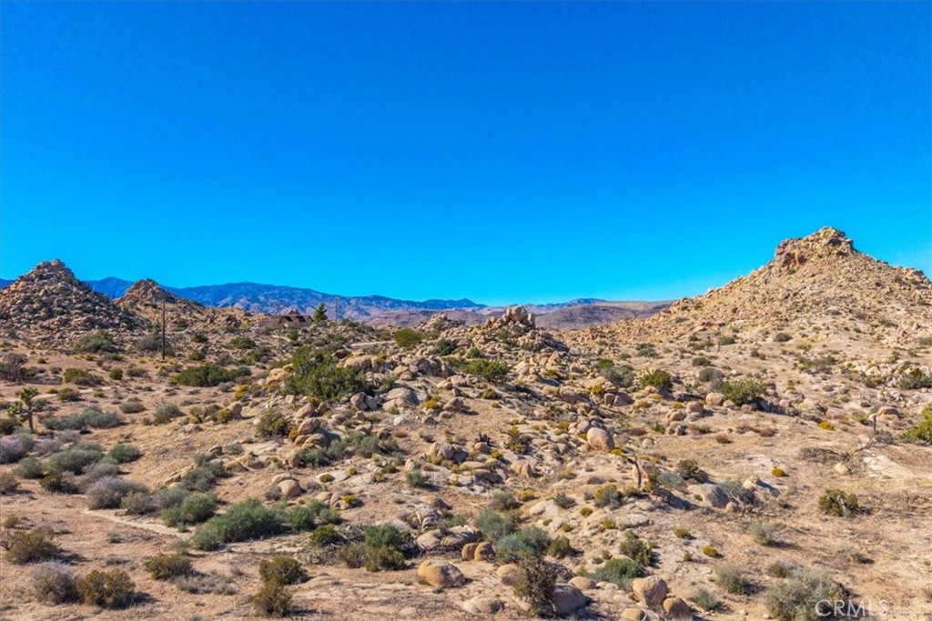 MLS #JT25250010 image #15