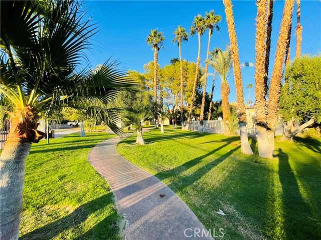 Image 4 for 32200 Cathedral Canyon DR #71