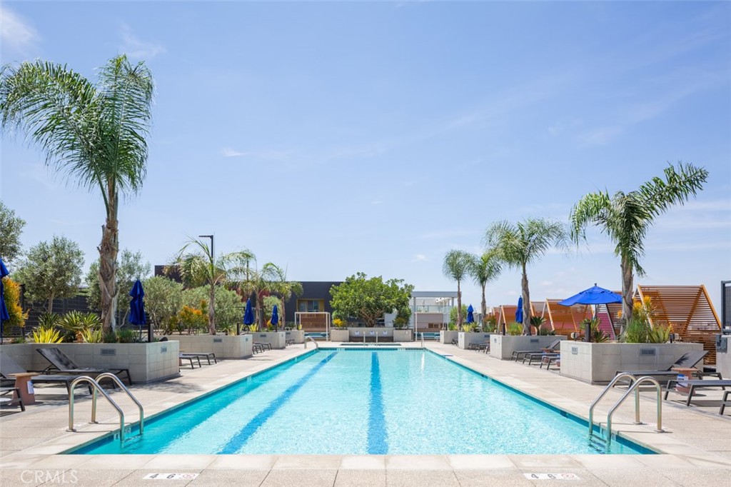 1100 S Grand Avenue 703, Los Angeles, CA 90015
