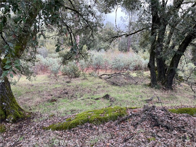 Detail Gallery Image 10 of 12 For 0 Jean Rd, Oakhurst,  CA 93644 - – Beds | – Baths