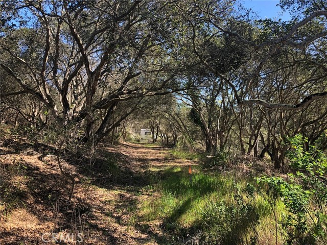 Detail Gallery Image 8 of 9 For 221 Tucker Rd, Royal Oaks,  CA 95076 - – Beds | – Baths