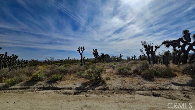 Detail Gallery Image 5 of 49 For 0 103rd St East Vicinity W14, –,  CA 93543 - – Beds | – Baths