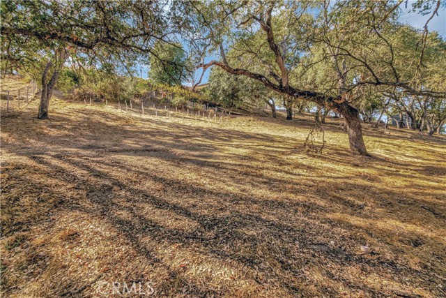 Detail Gallery Image 10 of 38 For 557 Andrea Cir, Paso Robles,  CA 93446 - 4 Beds | 2 Baths