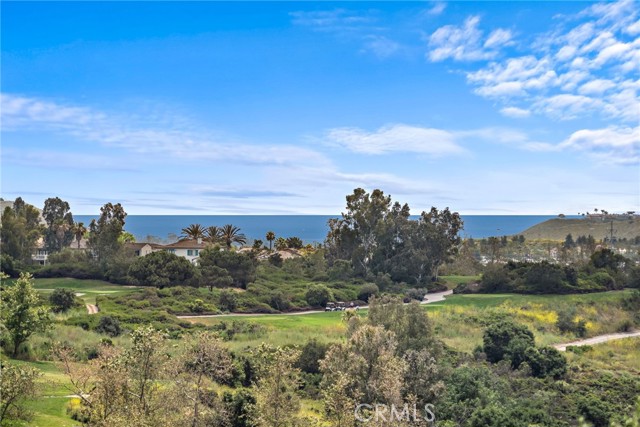 Detail Gallery Image 50 of 67 For 41 Calle Careyes, San Clemente,  CA 92673 - 4 Beds | 4 Baths