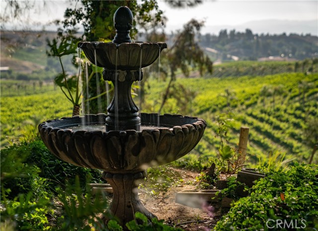 Image 56 of 62 For 40620 Calle Contento