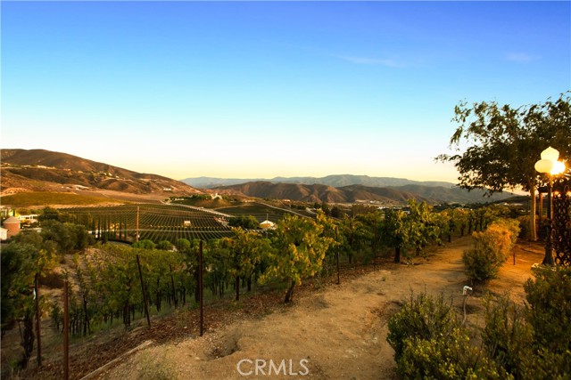 Detail Gallery Image 20 of 56 For 38330 De Portola Rd, Temecula,  CA 92592 - 2 Beds | 2 Baths