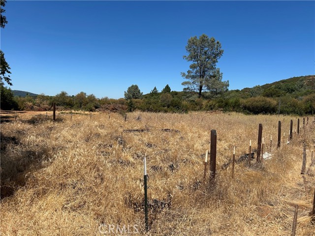 Detail Gallery Image 10 of 10 For 8860 Highway 29, Lower Lake,  CA 95457 - – Beds | – Baths