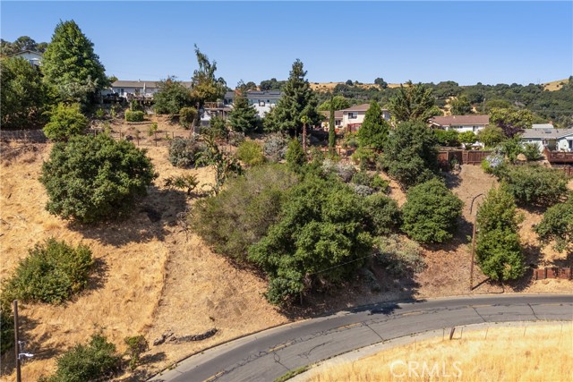 Detail Gallery Image 16 of 33 For 0 Rolph Park Dr, –,  CA 94525 - – Beds | – Baths