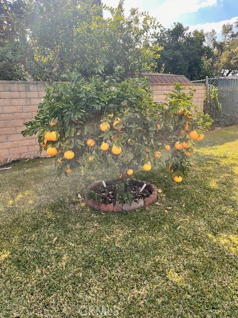 Detail Gallery Image 21 of 22 For 1054 S Mayflower Ave, Arcadia,  CA 91006 - 3 Beds | 2 Baths