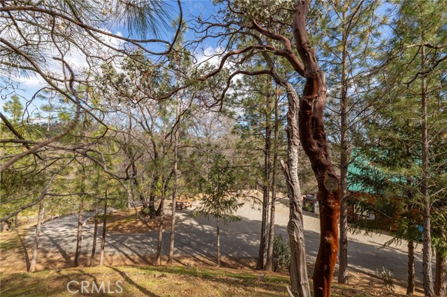 Detail Gallery Image 73 of 75 For 52815 Timberview Rd, North Fork,  CA 93643 - 3 Beds | 2 Baths