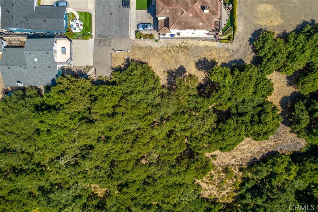 MLS #SC25182221 image #11