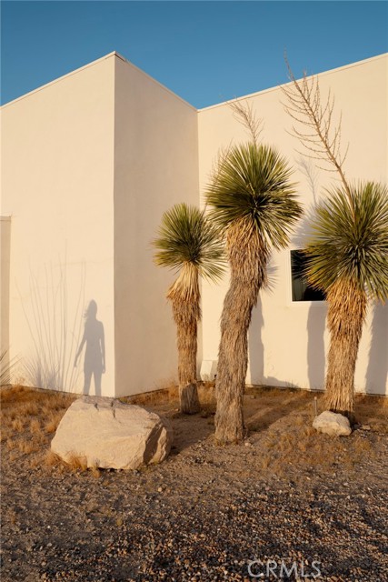 Detail Gallery Image 43 of 66 For 8825 Lilley Rd, Joshua Tree,  CA 92252 - 3 Beds | 2 Baths