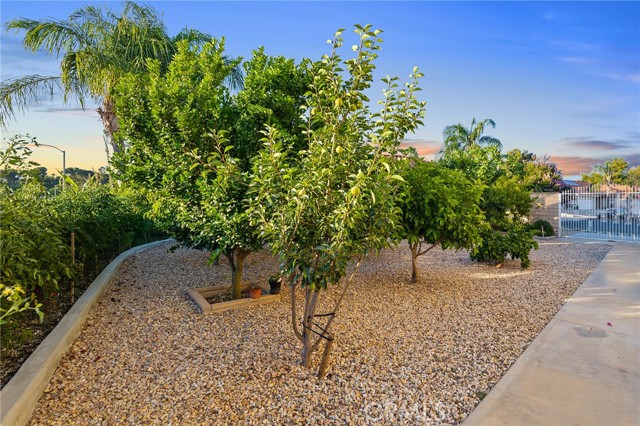 2157 Pecan Tree Street, Hemet CA: https://media.crmls.org/medias/0ee5a5e2-dae8-4d67-9855-5d97b885ced5.jpg