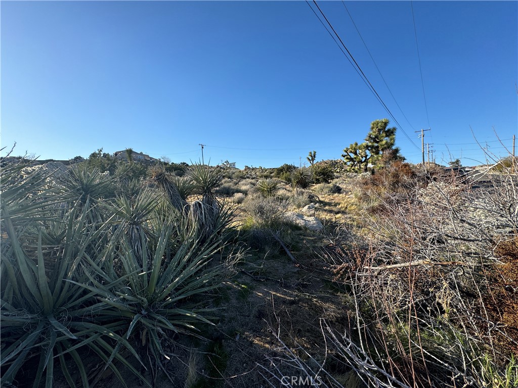MLS #JT24050274 image #2