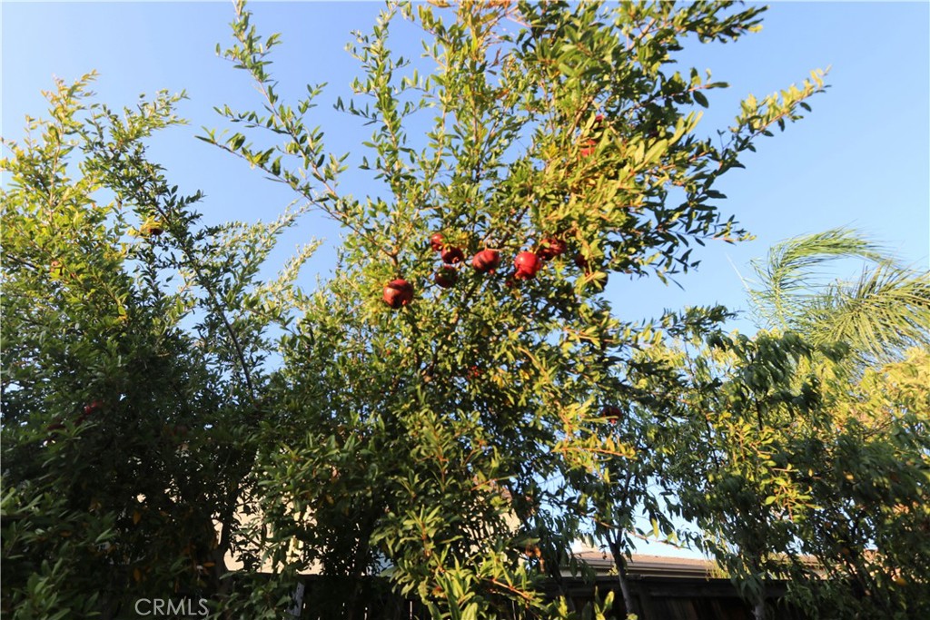 MLS #CV25232388 image #30