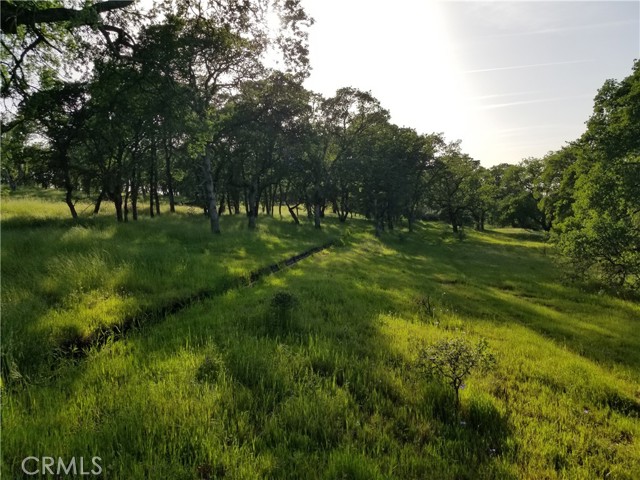 0 Whitney Court, Oroville, California 95966, ,Land,For Sale,0 Whitney Court,CROR21163755