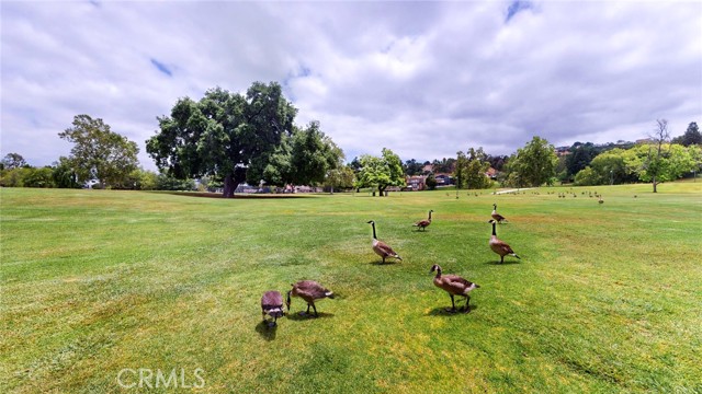 Detail Gallery Image 36 of 45 For 4632 Park Granada #93,  Calabasas,  CA 91302 - 3 Beds | 2 Baths