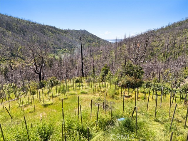 Detail Gallery Image 20 of 20 For 26 Fair Weather Ct, Berry Creek,  CA 95916 - 1 Beds | 1 Baths