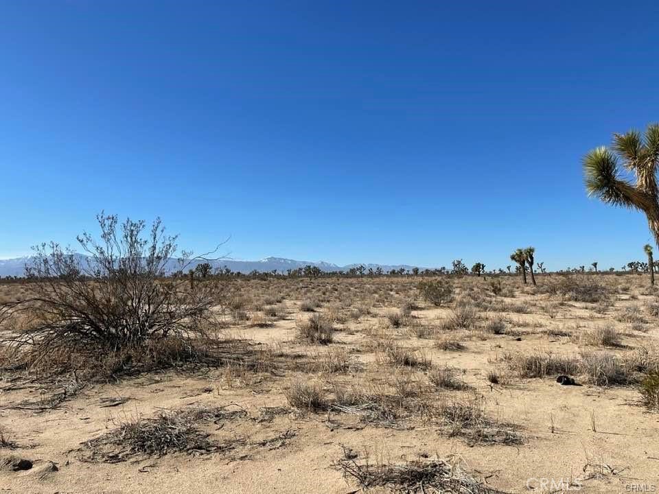 MLS #HD25000657 image #18