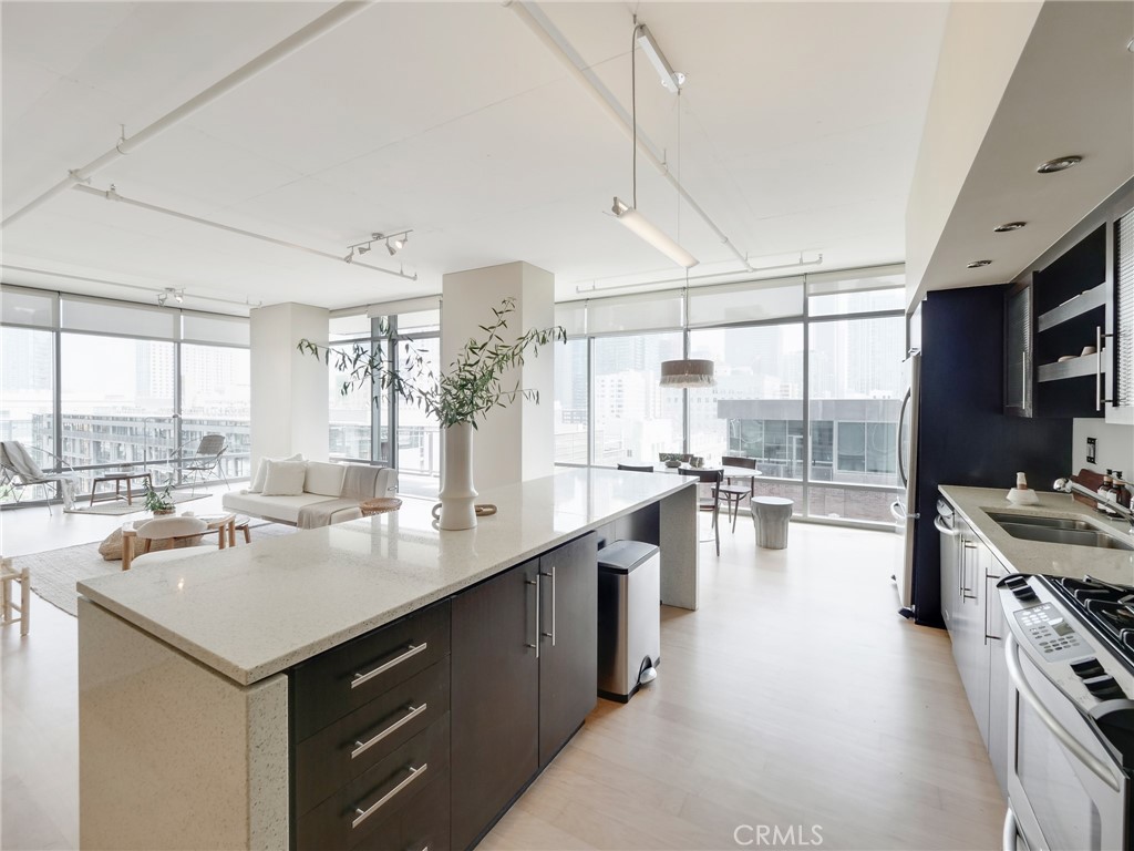 1100 S Hope Street 916, Los Angeles, CA 90015
