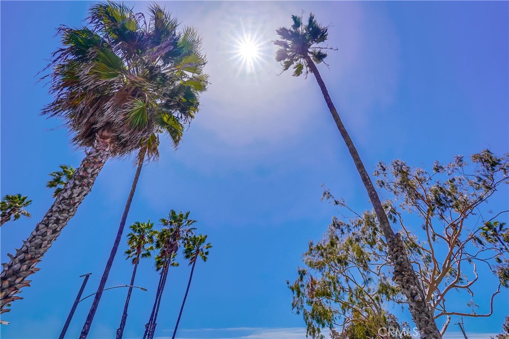 https://media.crmls.org/medias/0f0df6e1-ea4b-47a2-afab-17b940ea5281.jpg?preset=X-Large