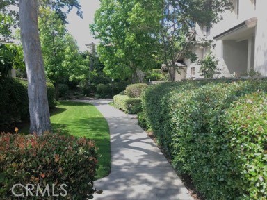 Front Image Thumbnail for CRNP25252559