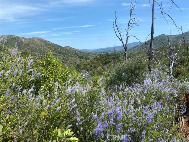18899 State Hwy 175, Middletown CA: https://media.crmls.org/medias/0f0f6488-90ab-497e-9ba7-616a6f5a454a.jpg