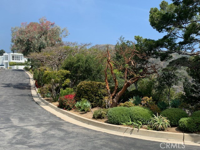 View of the private street with the land that belongs to this property