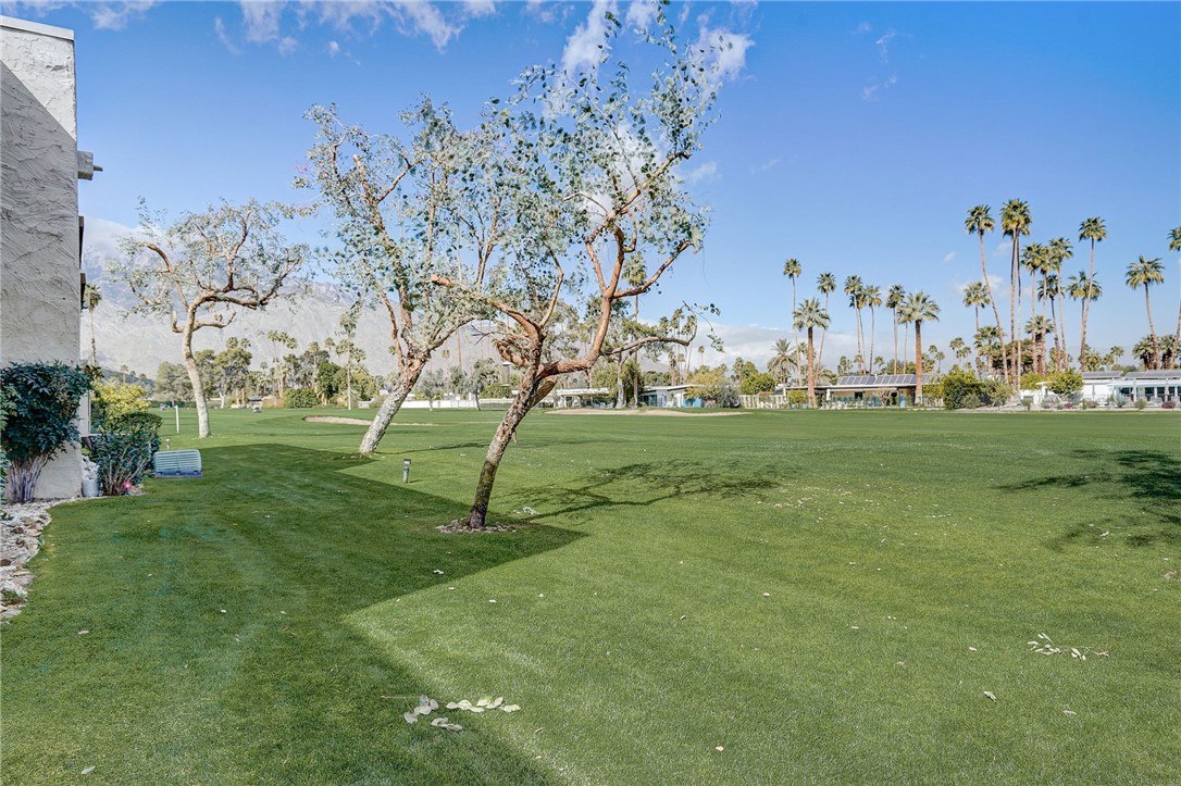 Detail Gallery Image 19 of 25 For 5300 E Waverly Dr #F15,  Palm Springs,  CA 92264 - 1 Beds | 1/1 Baths