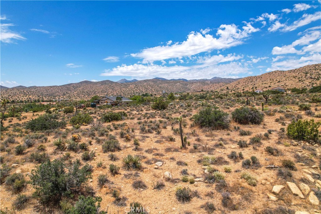 MLS #JT25246603 image #16