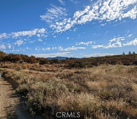 MLS# SW23150408