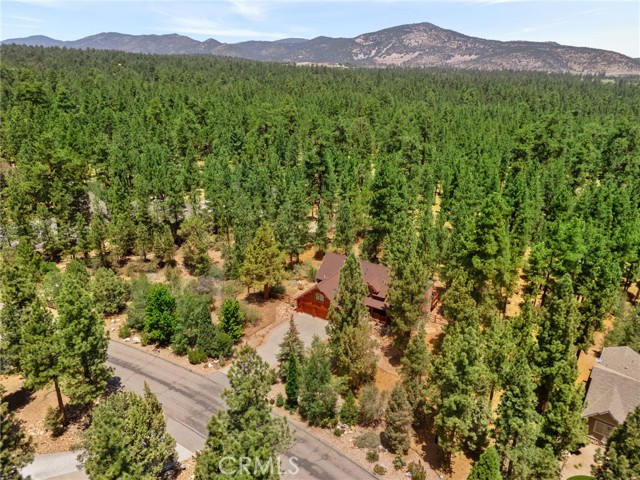 Detail Gallery Image 53 of 57 For 1947 Shady, Big Bear City,  CA 92314 - 5 Beds | 3/1 Baths