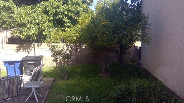 Outside Fruit Trees