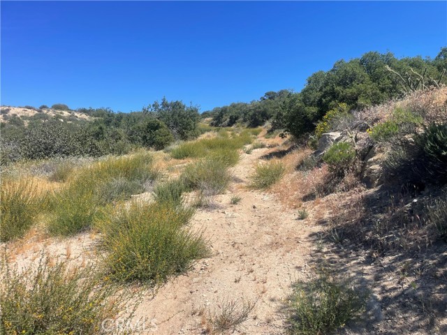 33 Sweetbush, Anza CA: https://media.crmls.org/medias/0f2289fb-d3e2-495f-b0db-b4cb9b628fa5.jpg