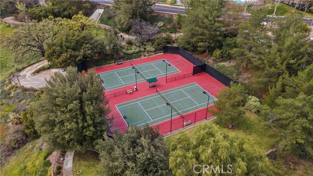 Image 36 of 43 For 26334 Emerald Dove