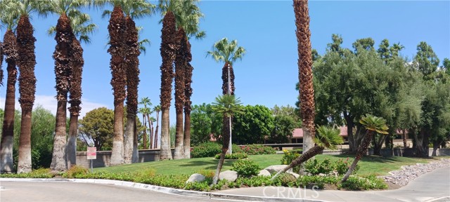 Detail Gallery Image 10 of 11 For 2809 N Los Felices Circle E #G207,  Palm Springs,  CA 92262 - 1 Beds | 1 Baths