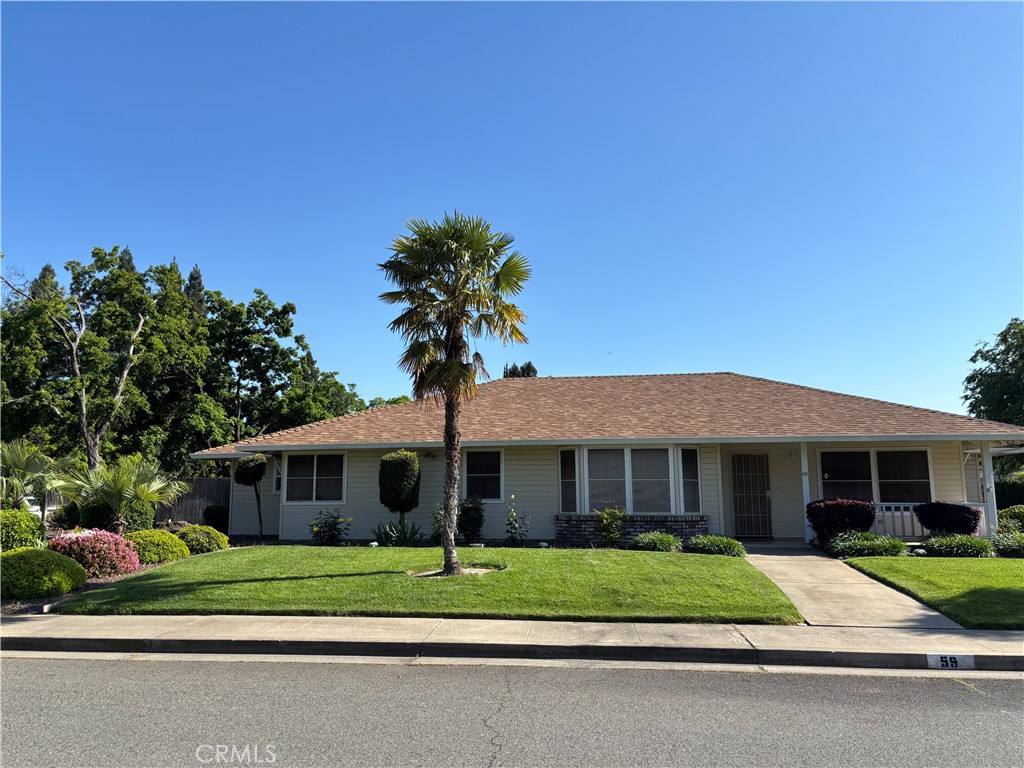 59 Brenda Drive