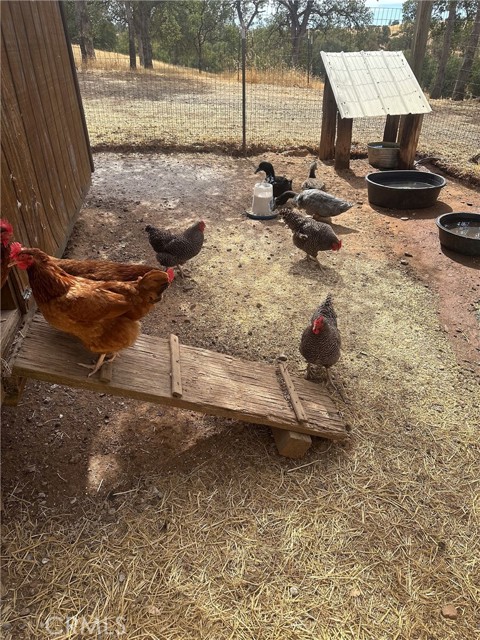 Detail Gallery Image 55 of 74 For 18020 Benson Rd, Cottonwood,  CA 96022 - 3 Beds | 3 Baths