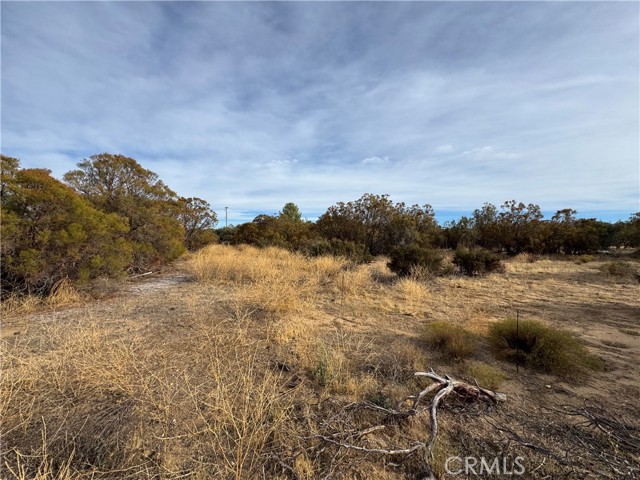 Detail Gallery Image 10 of 12 For 59255 Breiner Valley Rd, Anza,  CA 92539 - – Beds | – Baths