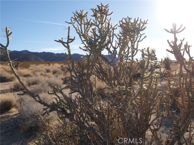 0 Lee rd, Joshua Tree, CA, 92252 0 Lee rd, Joshua Tree, CA, 92252