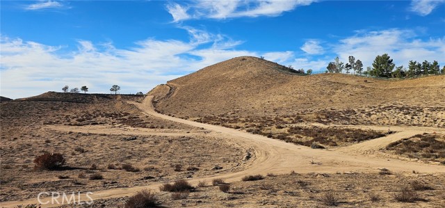 Detail Gallery Image 7 of 28 For 0 Carrie Ct, Agua Dulce,  CA 91390 - – Beds | – Baths