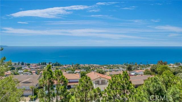 30225 Avenida De Calma, Rancho Palos Verdes, California 90275, 5 Bedrooms Bedrooms, ,4 BathroomsBathrooms,Residential,Sold,Avenida De Calma,PV22178996